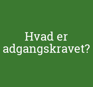 Adgangskravet
