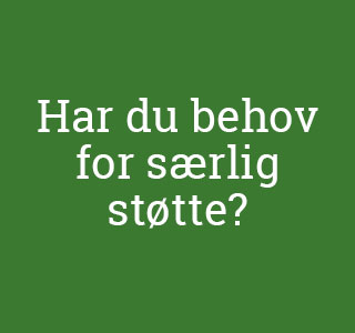 Behov for særlig støtte
