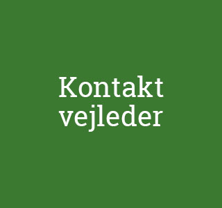 Kontakt vejleder