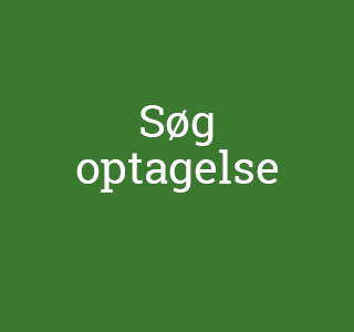 Søg optagelse